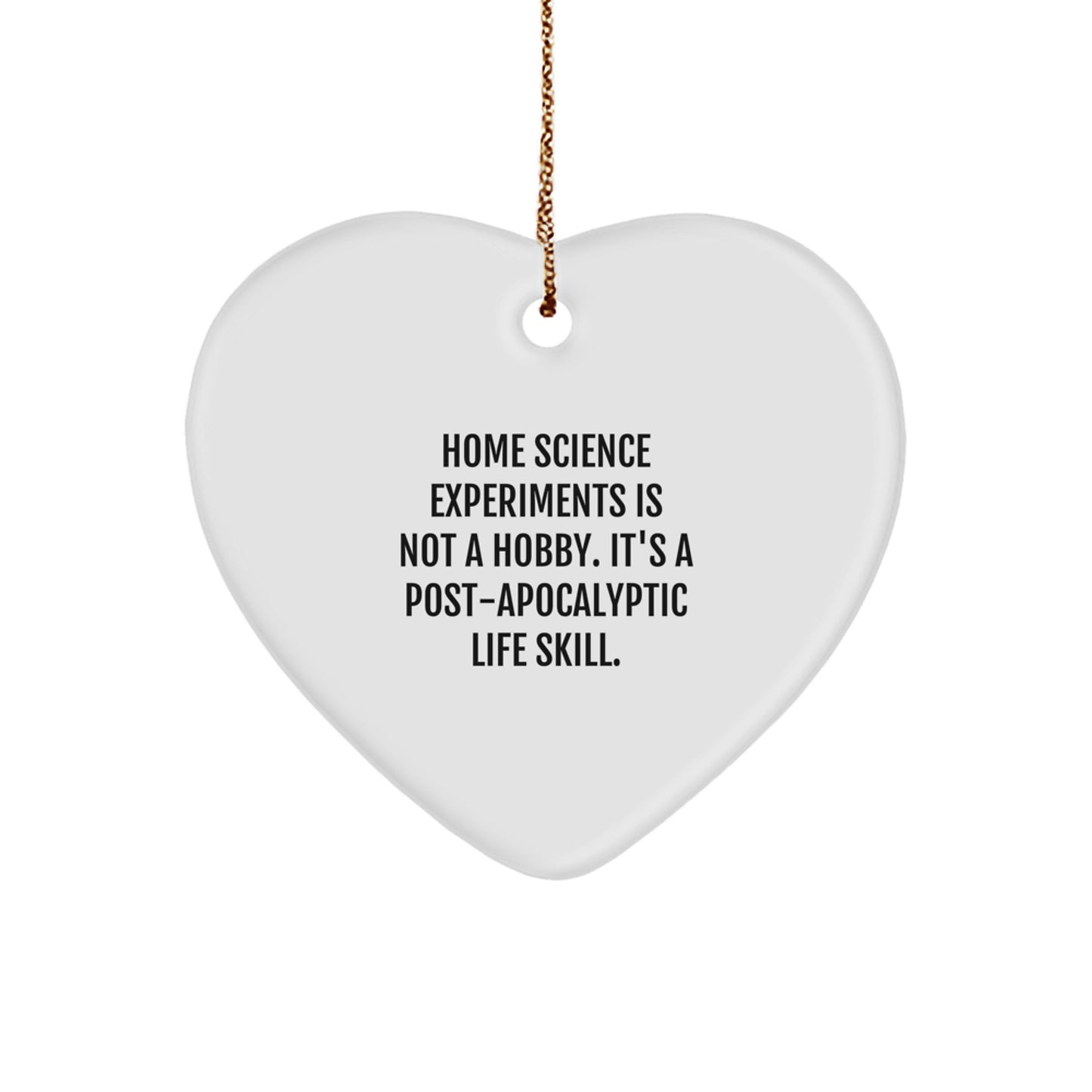 Home Science Experiments Gifts for Men - Funny Heart Ornament, Gifts from Family, Home Science Experiments Is Not A Hobby, Christmas Unique Gifts - Image 1