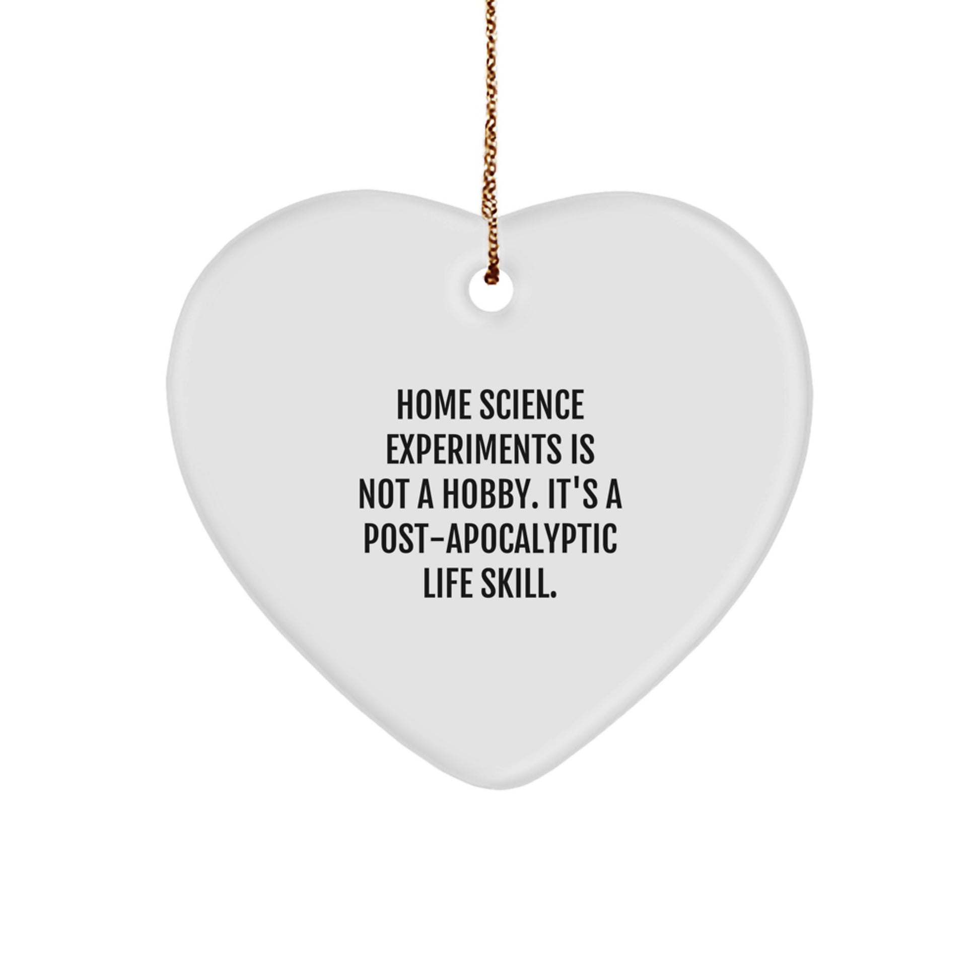 Home Science Experiments Gifts for Men - Funny Heart Ornament, Gifts from Family, Home Science Experiments Is Not A Hobby, Christmas Unique Gifts - Image 1