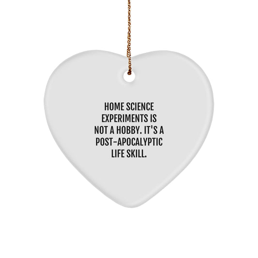 Home Science Experiments Gifts for Men - Funny Heart Ornament, Gifts from Family, Home Science Experiments Is Not A Hobby, Christmas Unique Gifts - Image 1