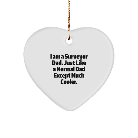 Funny Heart Shaped Surveyor Gifts for Men from Dads, Unique Christmas Unique Gifts for Surveyor Dad, Inspirational Heart Ornament for Surveyor - Image 1