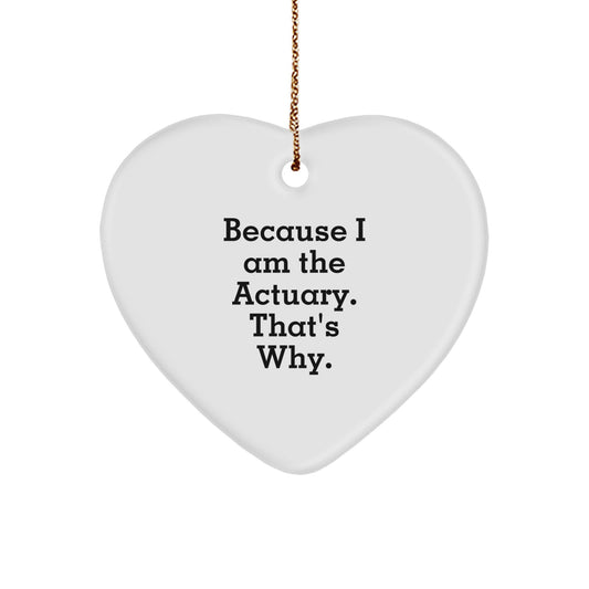 Funny Actuary Gifts from Friends for Actuaries, Actuary Heart Ornament Because I Am The Actuary That's Why, Christmas Unique Gifts - Image 1
