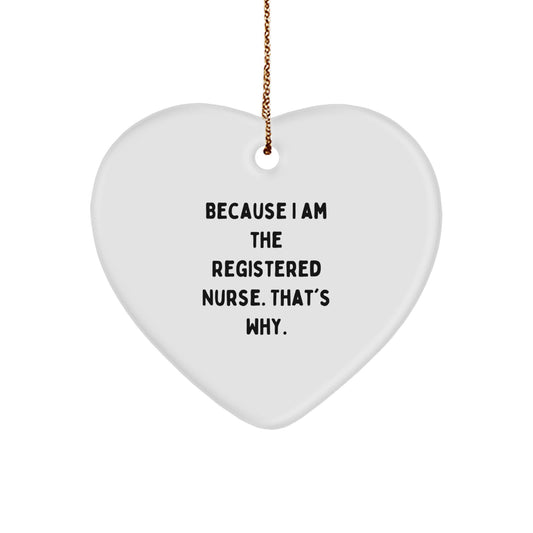 Registered Nurse Heart Ornament Funny Gift Ideas Christmas Unique Gifts from Family for Nurses - Image 1