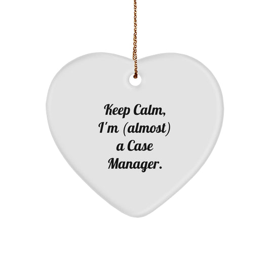 Funny Case Manager Heart Ornament Gifts from Family for Christmas Unique Inspirational - Image 1