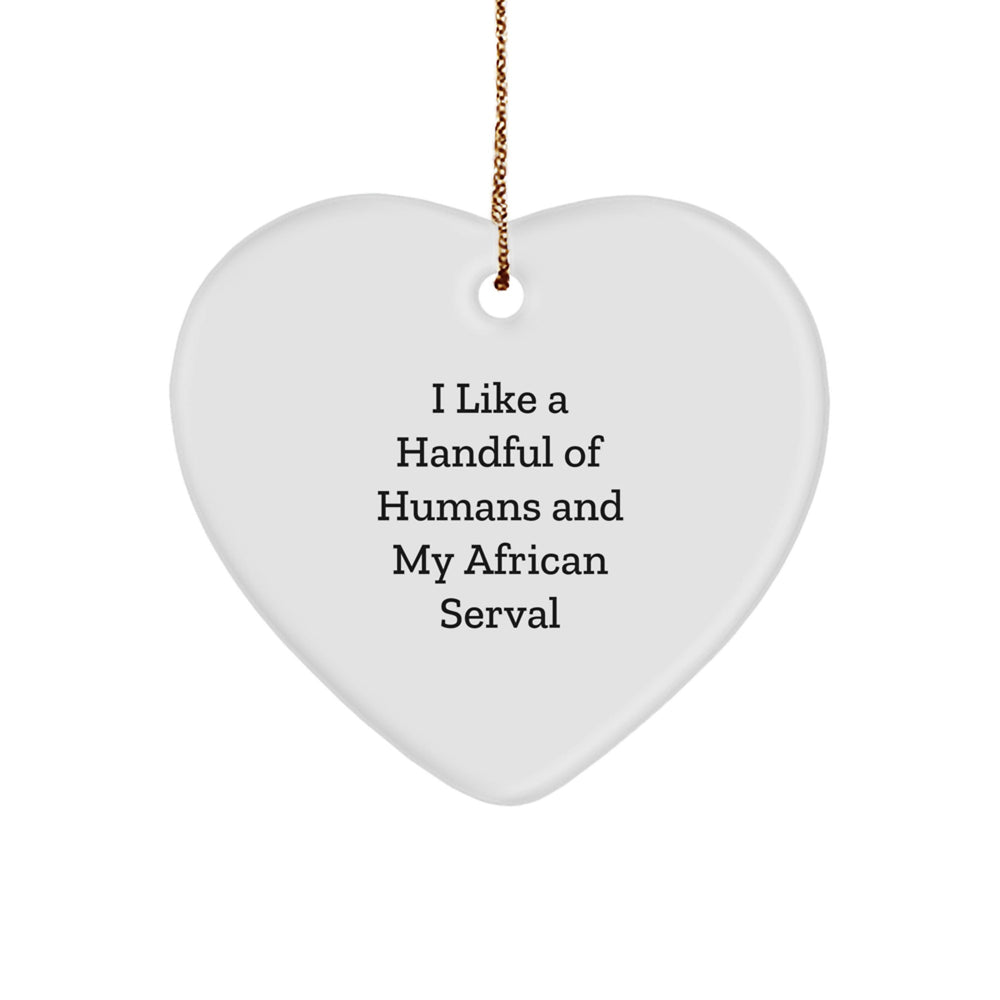 African Serval Cat Heart Ornament Gifts from Men to Friends - Funny Quote I Like A Handful Of Humans And My African Serval - Christmas Unique Gifts - Image 1