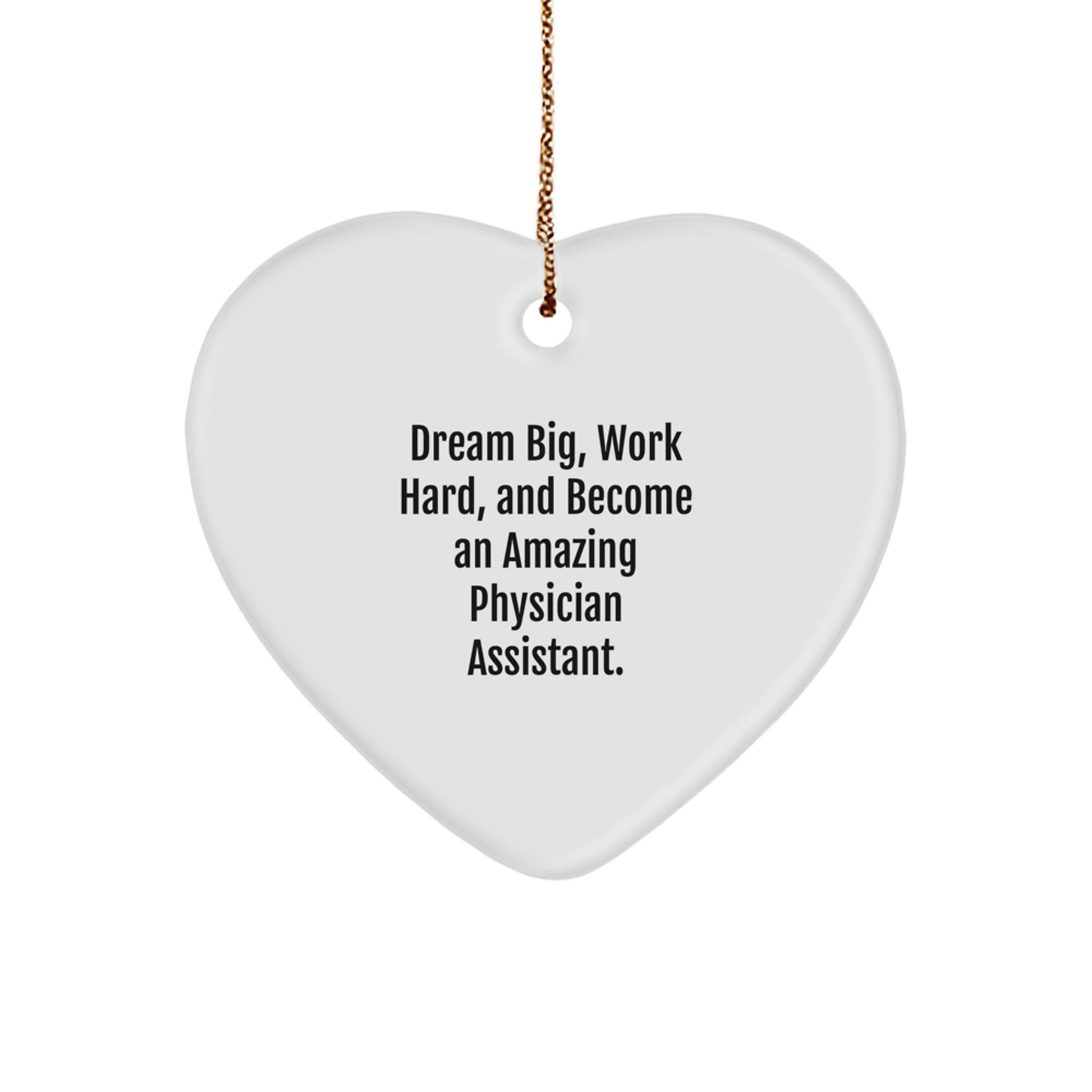 Funny Inspirational Gifts from Men to Physician Assistant Friends and Family at Christmas Unique Gifts - Image 1