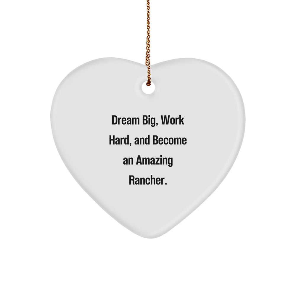 Funny Inspirational Heart Ornament Gifts from Family to Amazing Rancher Friends Men - Image 1
