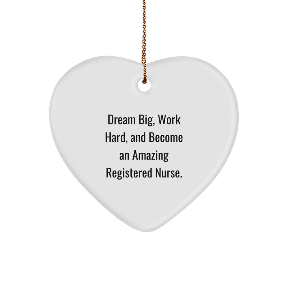 Funny Registered Nurse Gifts from Friends Christmas Unique Heart Ornaments with Inspirational Quote - 'Dream Big, Work Hard, And Become An Amazing Registered Nurse.' - Image 1