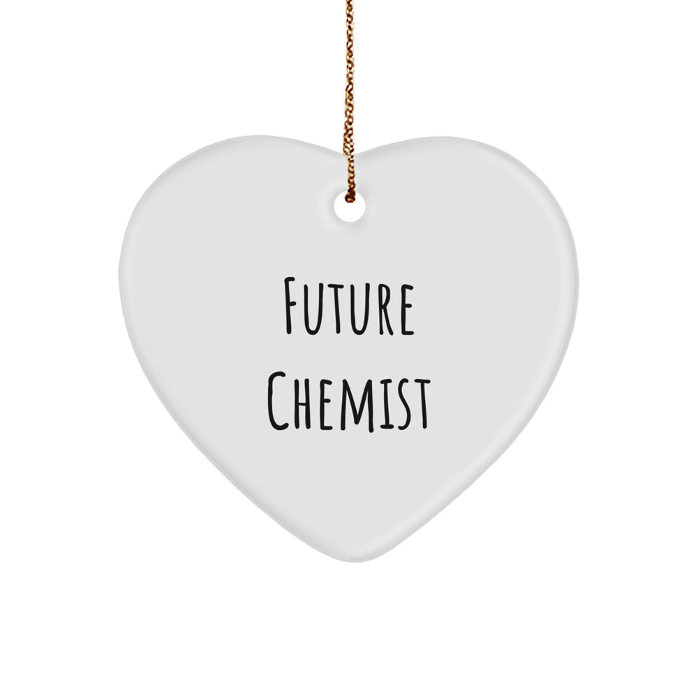 Funny Future Chemist Gifts from Family, Heart Ornament for Chemist, Christmas Unique Gifts - Image 1