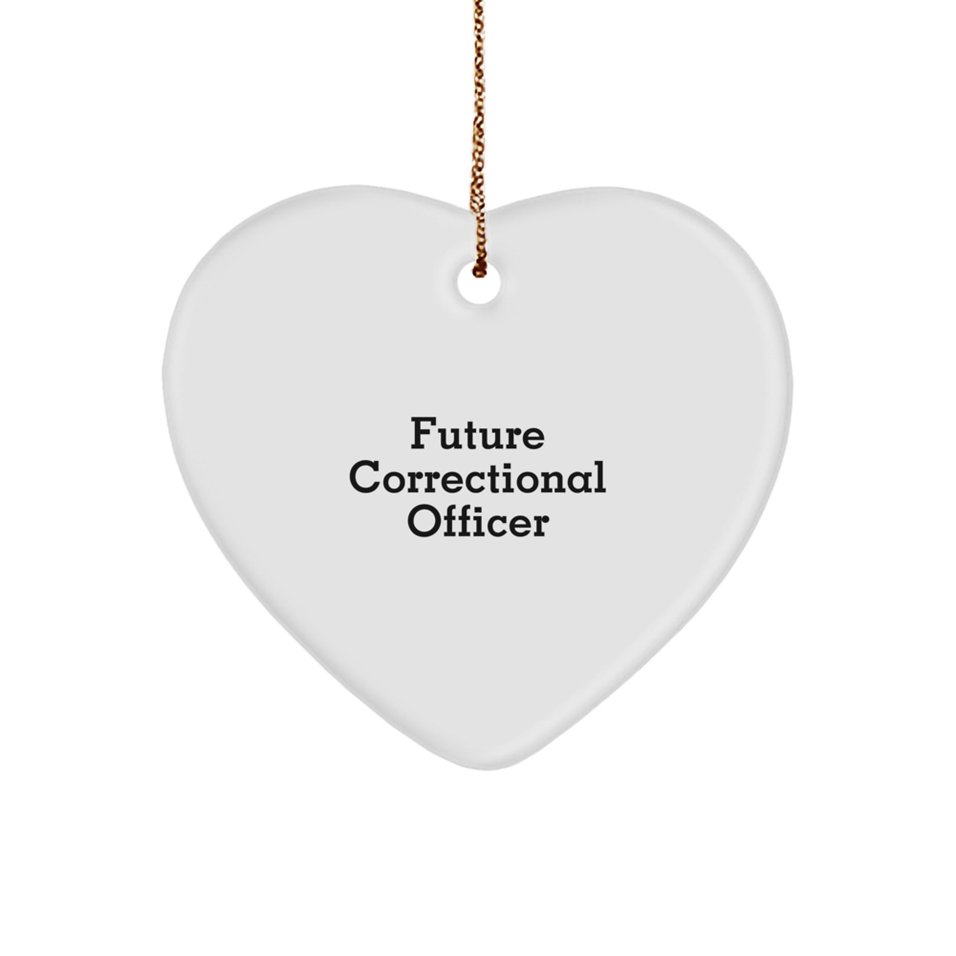 Funny Correctional Officer Gifts from Friends, Heart Ornament for Future Correctional Officer, Christmas Unique Gifts - Image 1