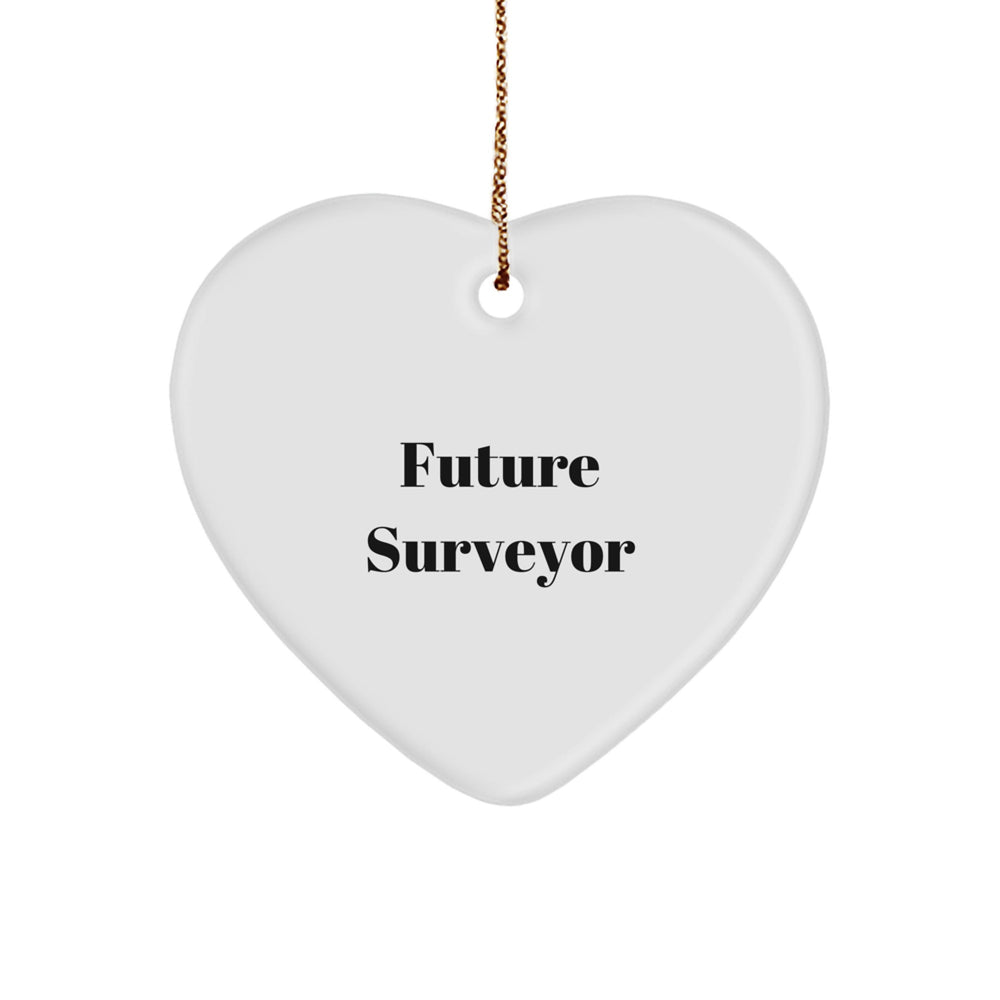 Funny Future Surveyor Gifts from Friends - Heart Ornament for Christmas Unique Gifts for Surveyor Men - Image 1
