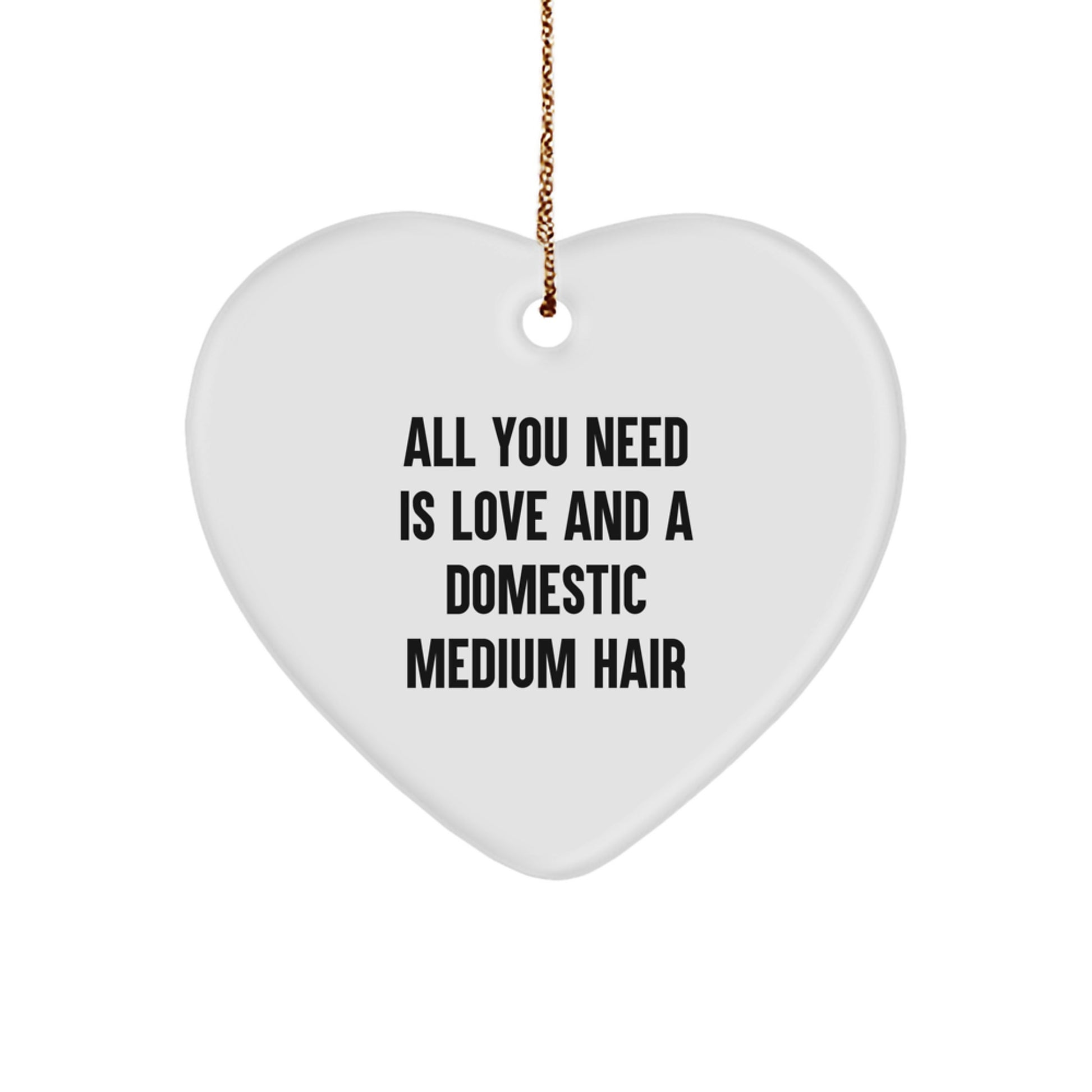 Domestic Medium Hair Cat Keepsake Christmas Ornament for Him Gift Love - Image 1