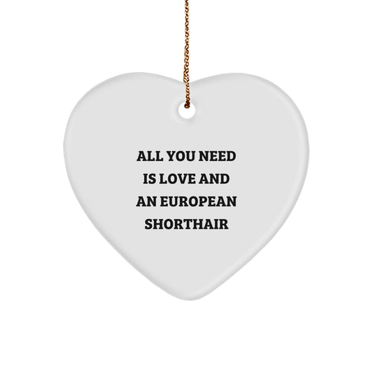 Gifts from Men to European Shorthair Cat Lovers, Cute Heart Ornament, Christmas Unique Gifts - Image 1
