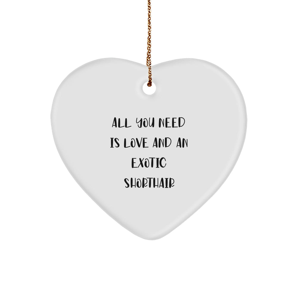 Exotic Shorthair Cat Love Gifts from Family, Heart Ornament for Christmas Unique Presents - Image 1