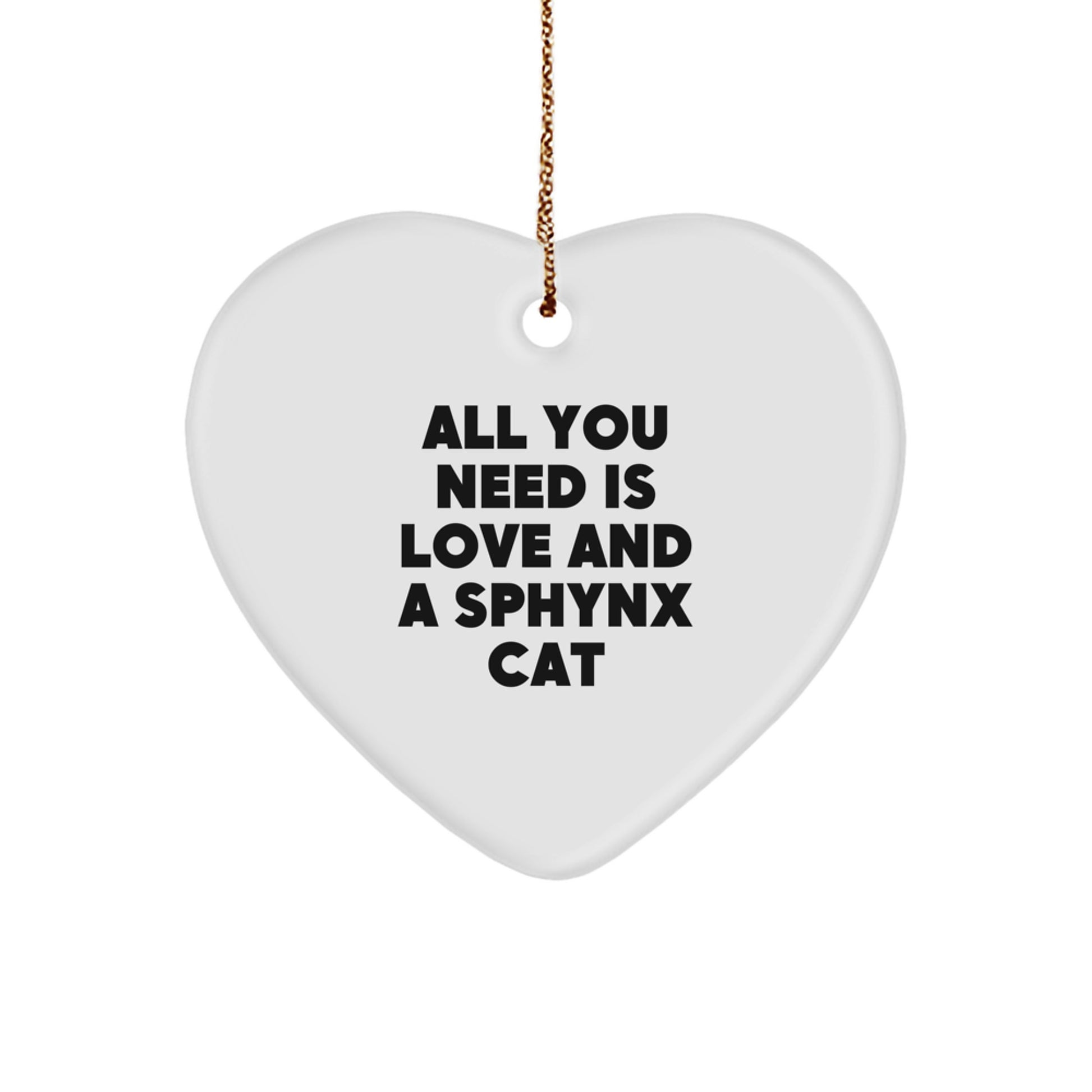 Funny Sphynx Cat Gifts from Friends for Sphynx Cat Lovers Unique Christmas Unique Gifts - Image 1