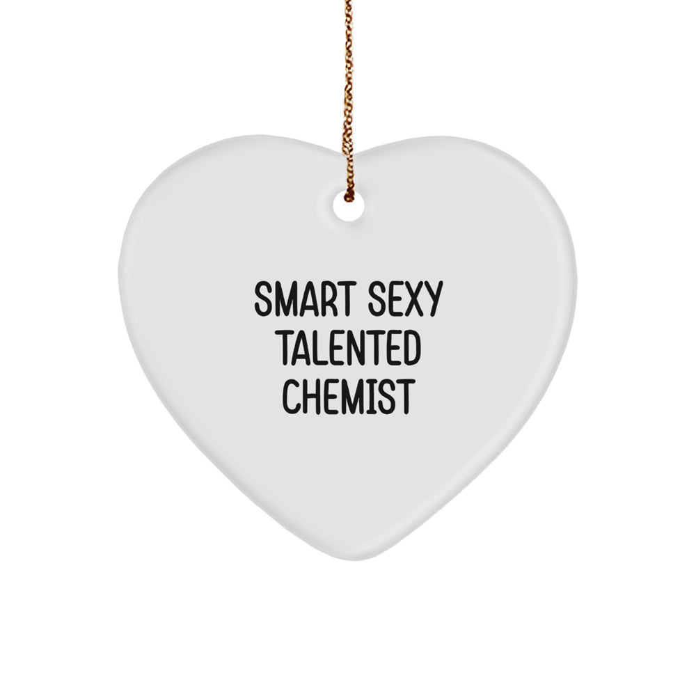 Smart Sexy Talented Chemist Christmas Unique Gifts from Friends - Heart Ornament for Men, Women, Coworkers - Gifts for Chemist, Unique Christmas Memorable Present Idea for the Brilliant Scientist - Image 1