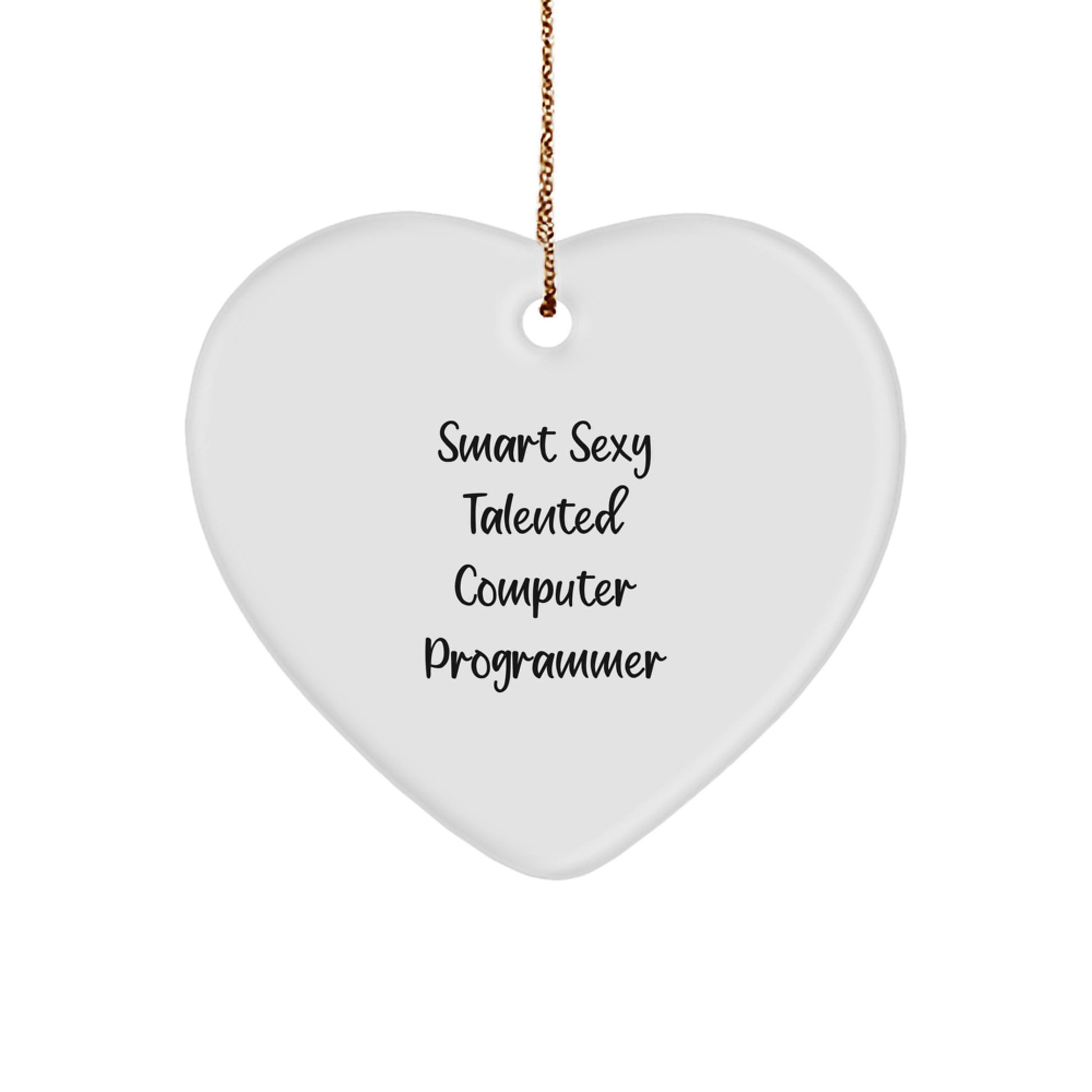 Funny Smart Sexy Talented Computer Programmer Heart Ornament, Gifts from Family for Computer Programmer, Christmas Unique Gifts, Heart Shaped Decorations - Image 1
