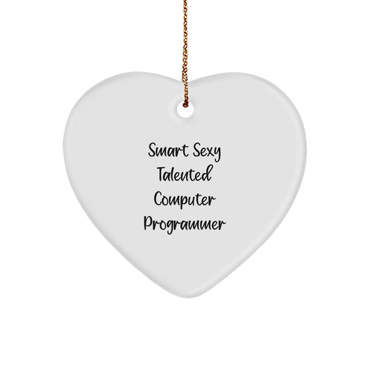Funny Smart Sexy Talented Computer Programmer Heart Ornament, Gifts from Family for Computer Programmer, Christmas Unique Gifts, Heart Shaped Decorations - Image 1