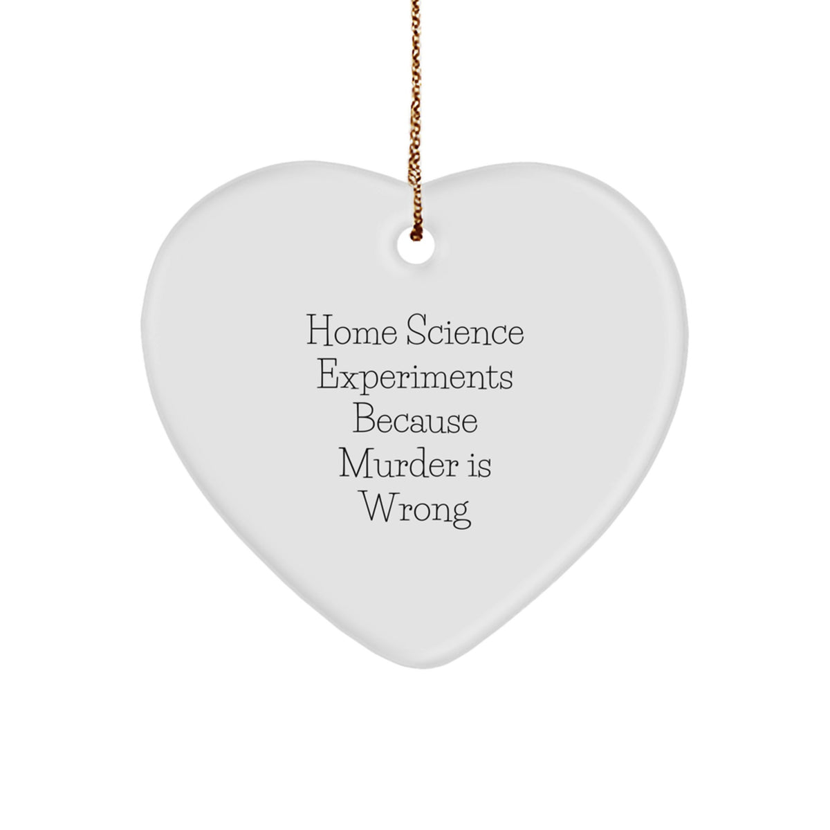 Witty Home Science Experiments Christmas Ornament for Friends Gift - Image 1