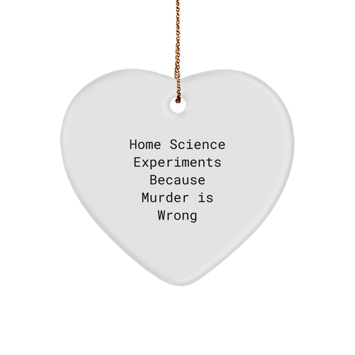 Home Science Experiments Christmas Ornament Gift for Teens Surprise - Image 1