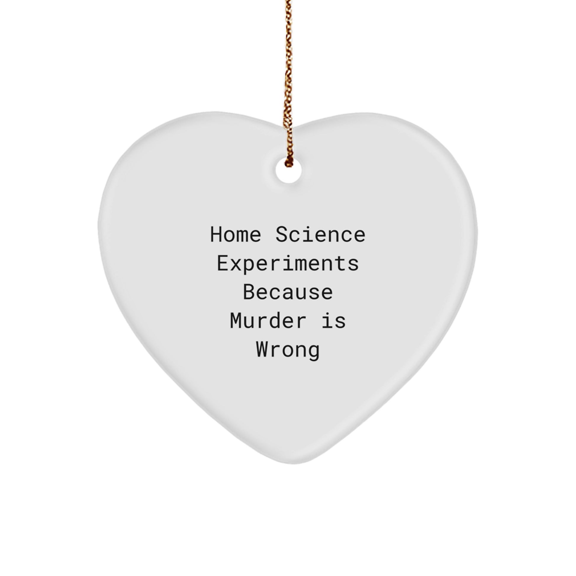 Home Science Experiments Christmas Ornament Gift for Teens Surprise - Image 1