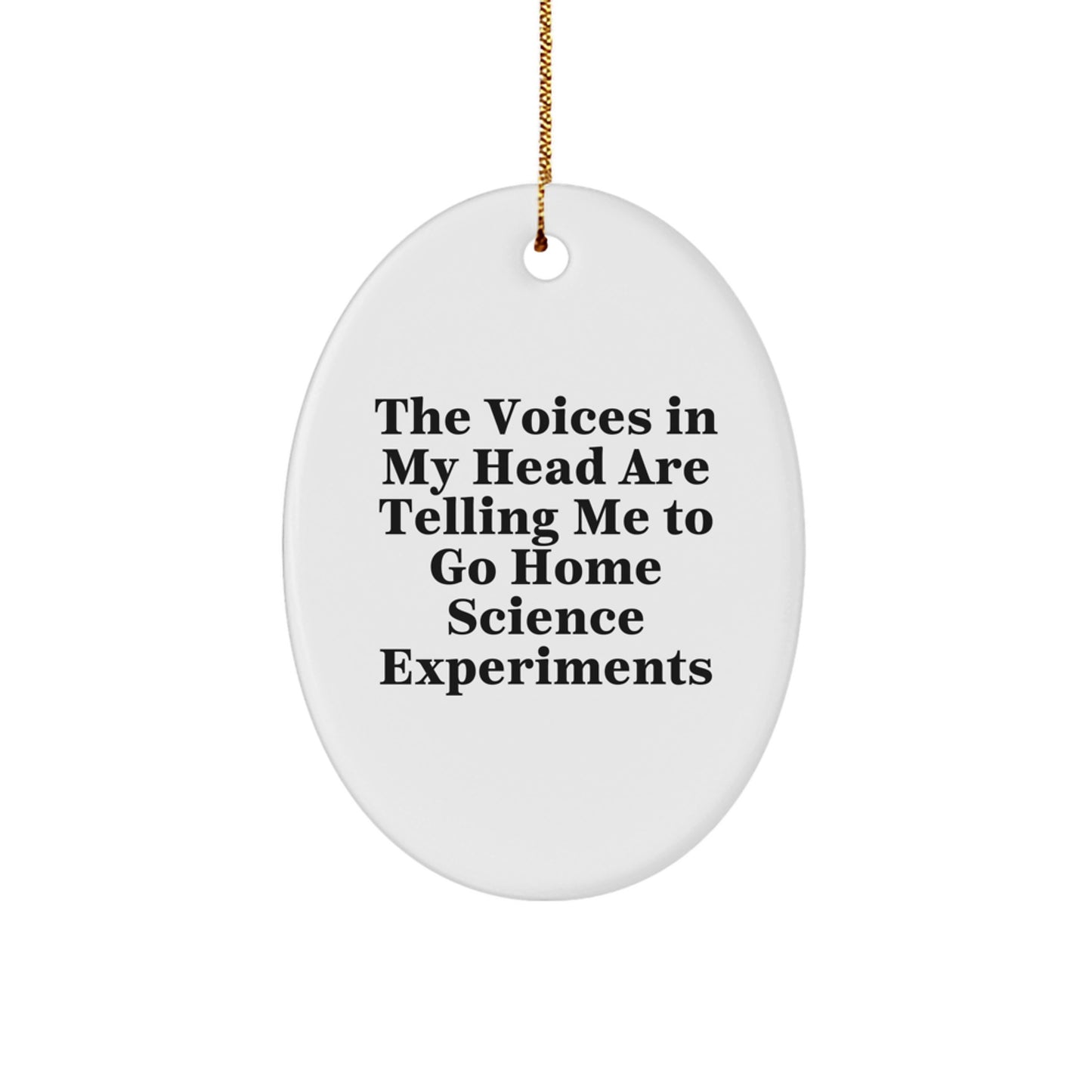 Home Science Experiments Oval Ornament Christmas Unique Gift for Roommates - Image 1