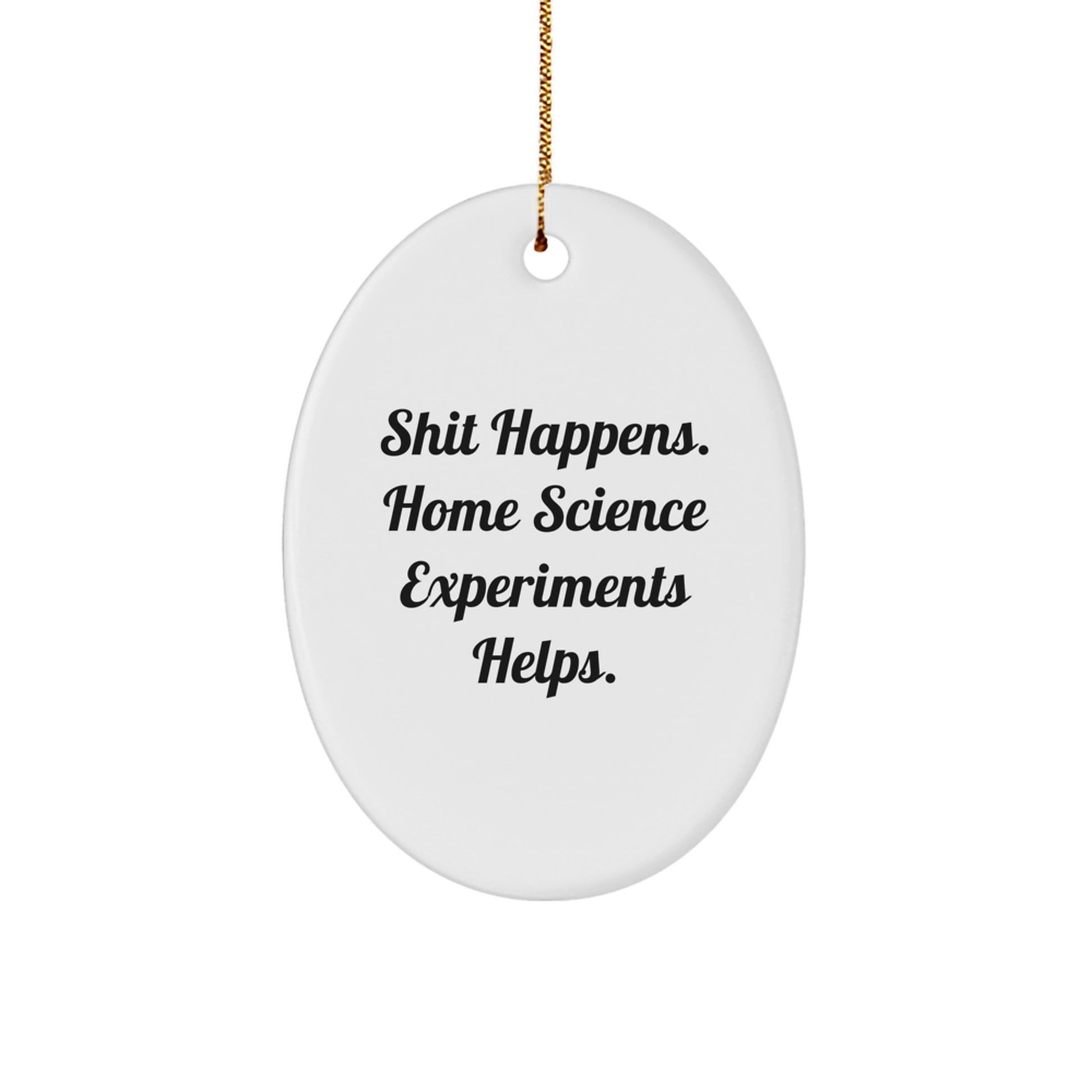 Home Science Experiments Oval Ornament for Friends Christmas Unique Gift - Image 1