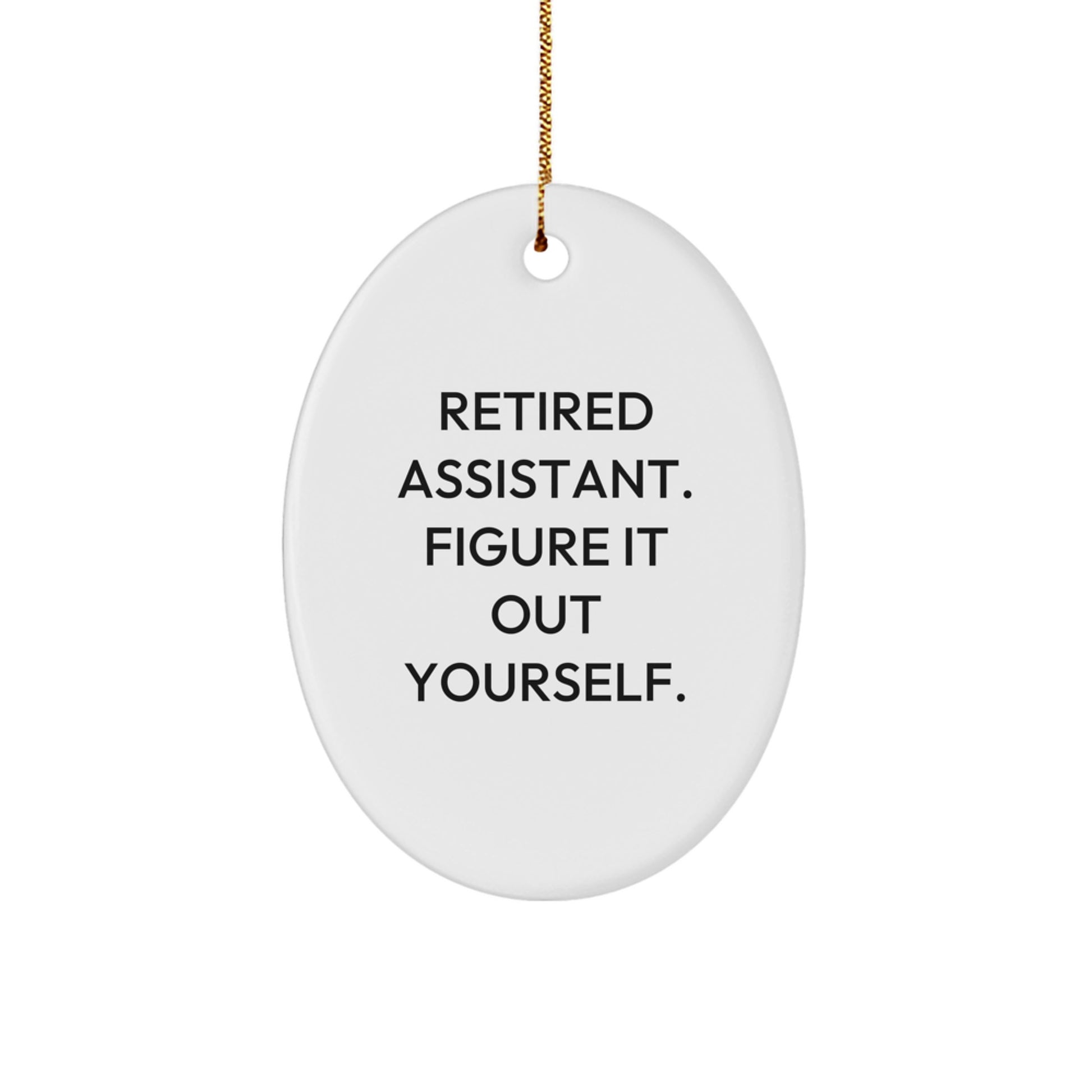 Funny Retired Assistant Gifts Oval Ornament for Christmas Unique Presents - Image 1