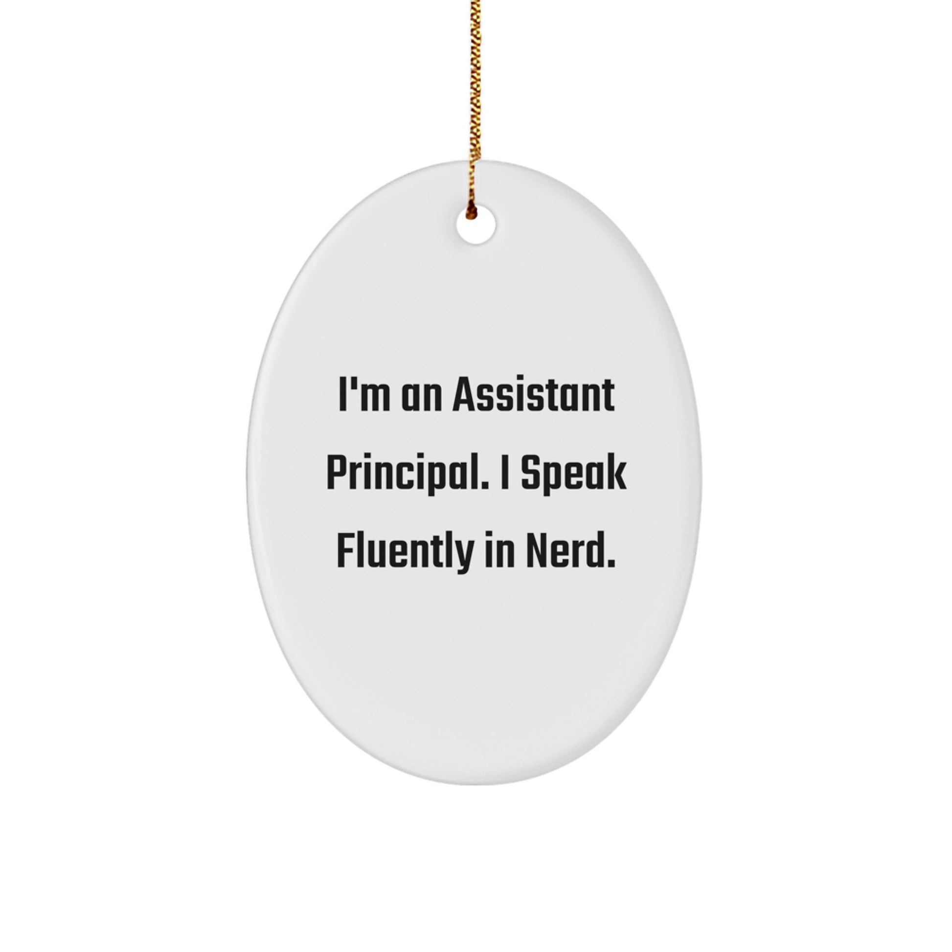 Funny Assistant Principal Gifts from Friends - Oval Ornament for Men - Christmas Unique Gifts for Assistant Principal - Image 1
