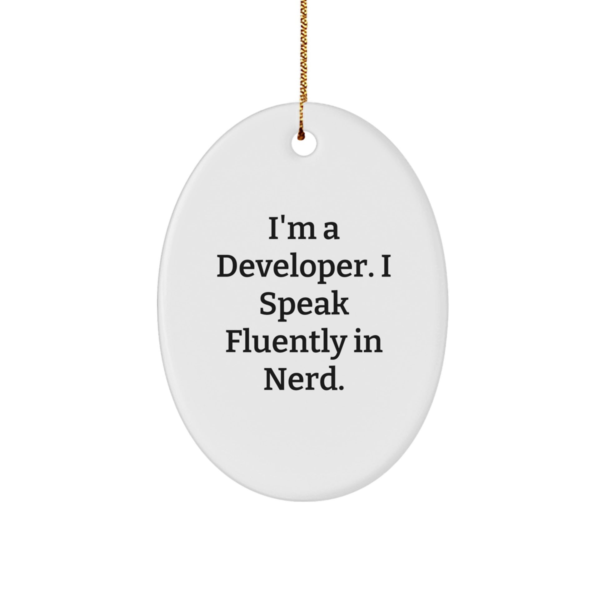 Funny Developer Christmas Oval Ornament Gifts from Men to Men's Friends - Image 1