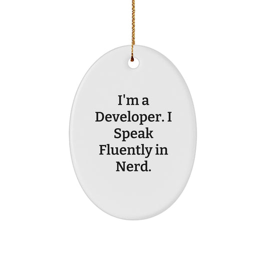 Funny Developer Christmas Oval Ornament Gifts from Men to Men's Friends - Image 1