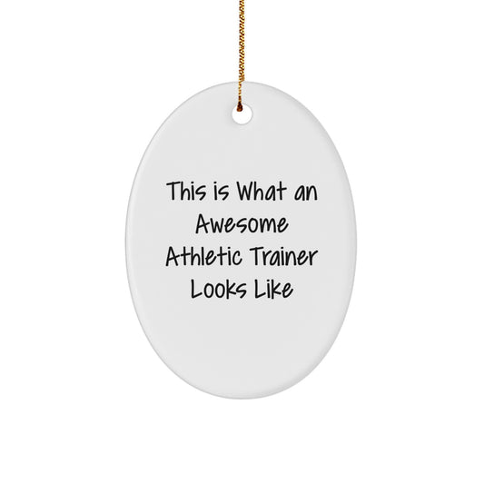 Funny Athletic Trainer Gifts from Friends - This Is What An Awesome Athletic Trainer Looks Like Oval Ornament, White Color, for Christmas Unique Gifts - Image 1