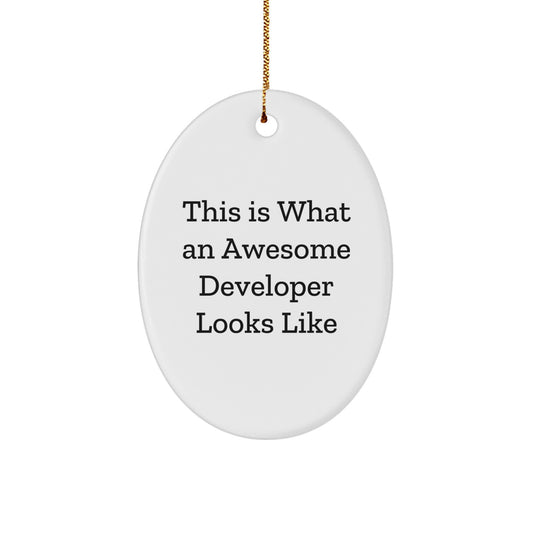 Funny Developer Christmas Unique Gifts from Friends - Oval Ornament, Inspirational Developer Quote, White Oval Shaped Christmas Unique Gifts for Developer - Image 1