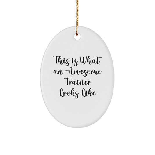 Funny Trainer Gifts from Friends for Awesome Trainers This Is What An Awesome Trainer Looks Like Oval Ornament Christmas Unique Gifts - Image 1
