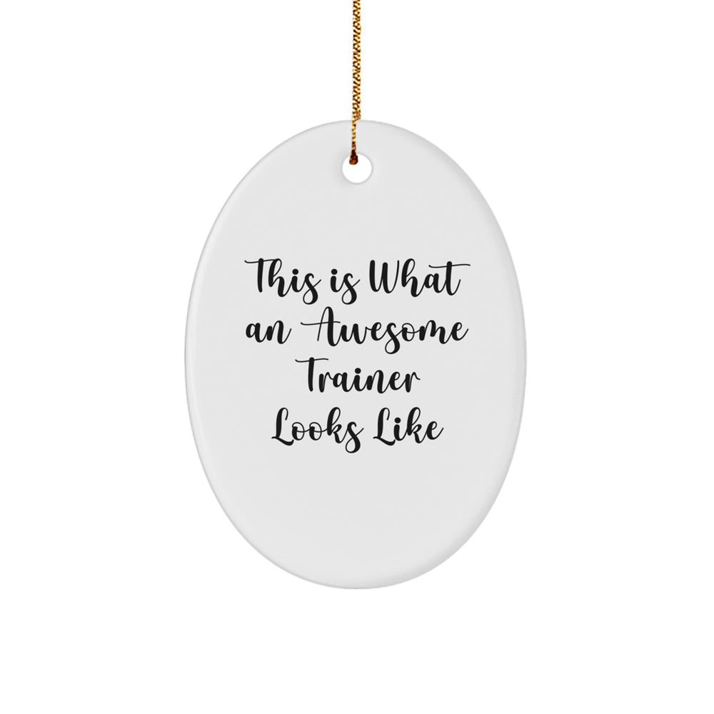 Funny Trainer Gifts from Friends for Awesome Trainers This Is What An Awesome Trainer Looks Like Oval Ornament Christmas Unique Gifts - Image 1