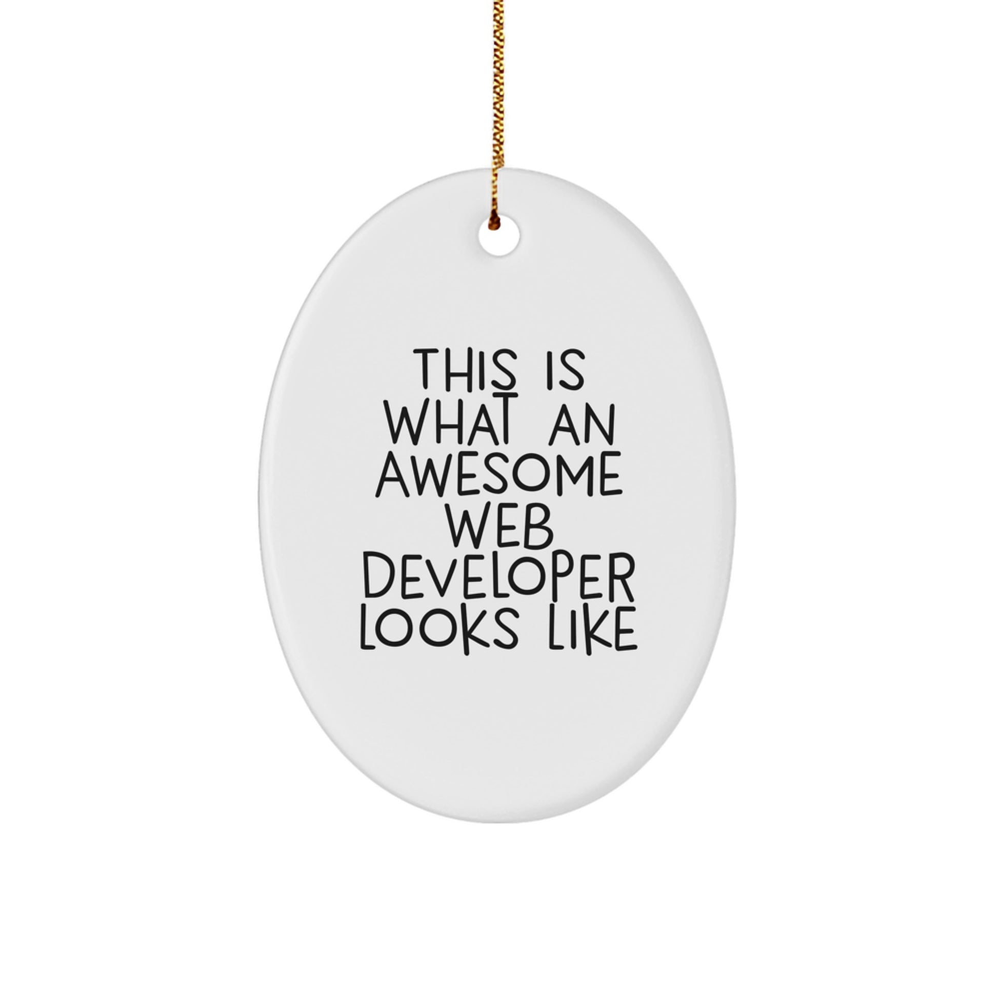 Web Developer Oval Ornament Idea for Coworkers Christmas Gift - Image 1