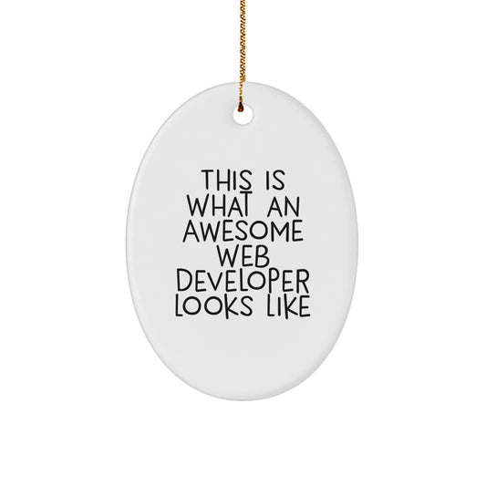 Web Developer Oval Ornament Idea for Coworkers Christmas Gift - Image 1