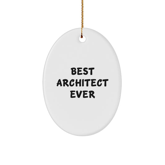 Cheeky Best Architect Ever Novelty Ornament for Friends Christmas Gift - Image 1