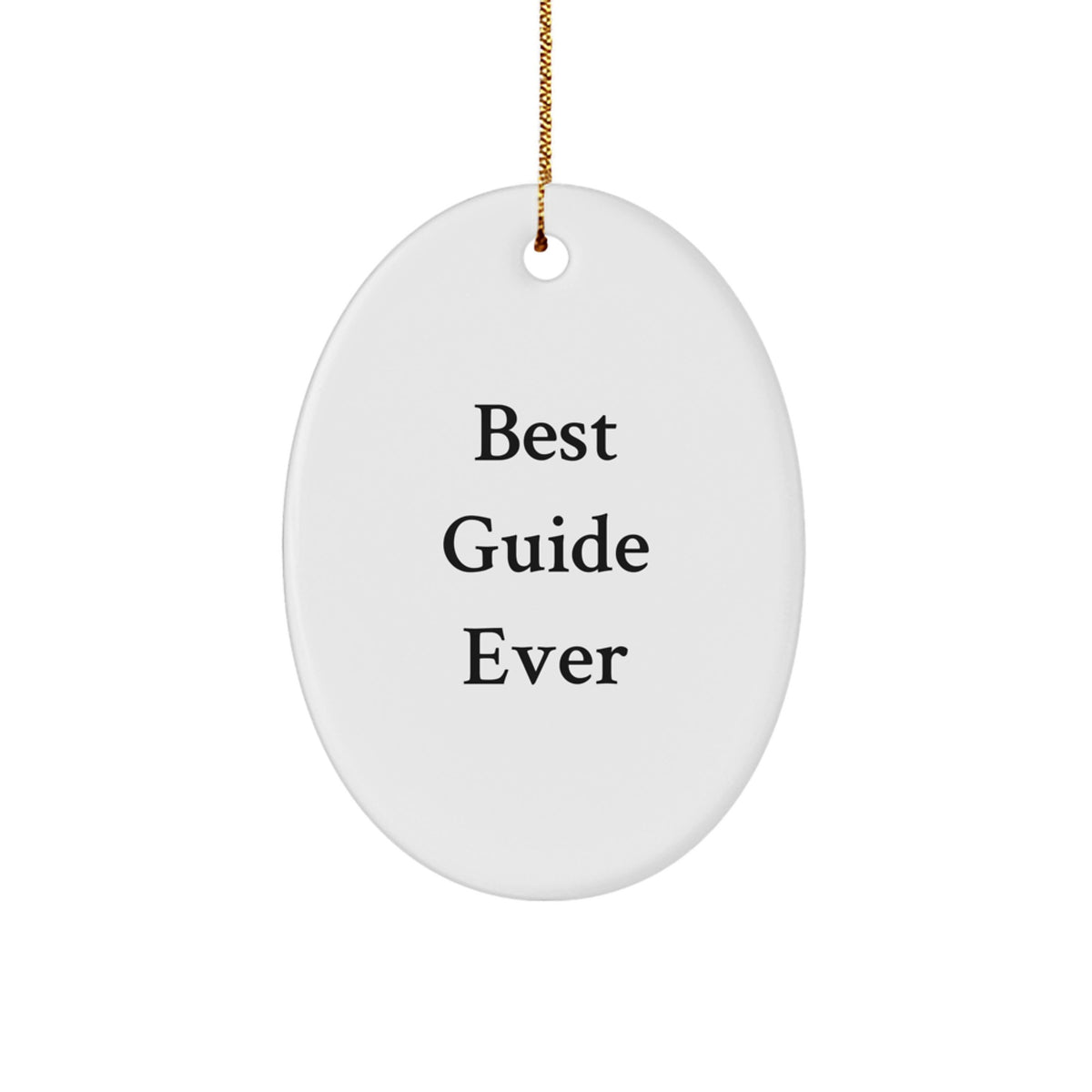 Playful Best Guide Ever Christmas Ornament for Roommates Memento Gift - Image 1