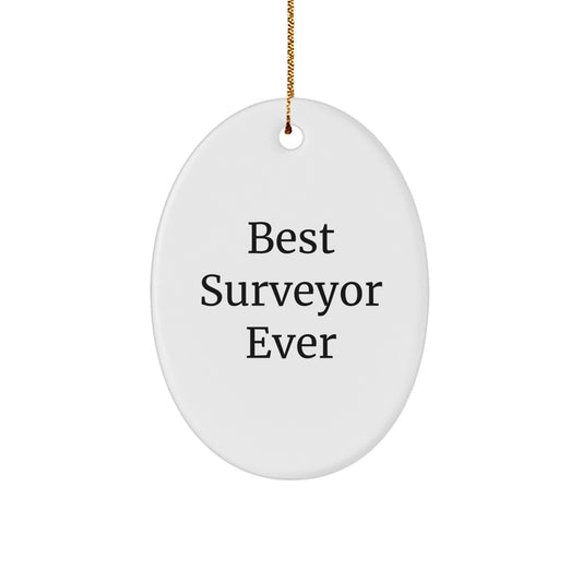 Funny Surveyor Oval Ornament Gifts from Men to Best Surveyor Ever Friends - Image 1