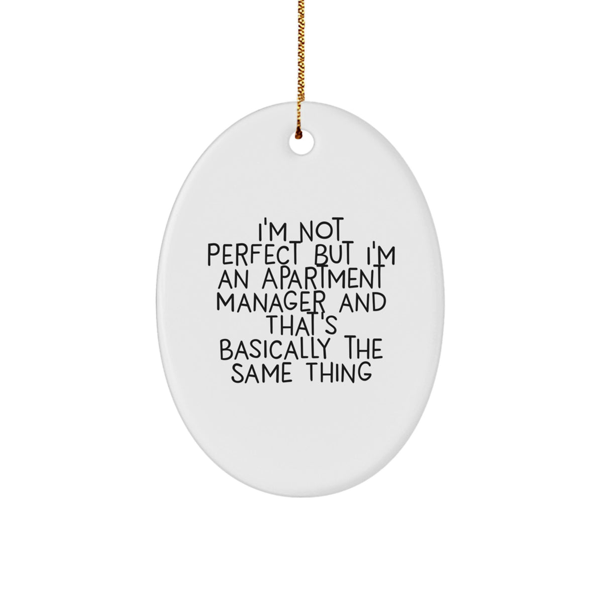 Christmas Gift Apartment Manager Oval Ornament for Roommates Collectible - Image 1