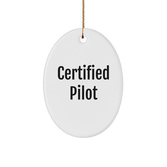 Funny Pilot Gifts from Friends, Oval Ornament for Certified Pilots, Christmas Unique Gifts for Men - Image 1