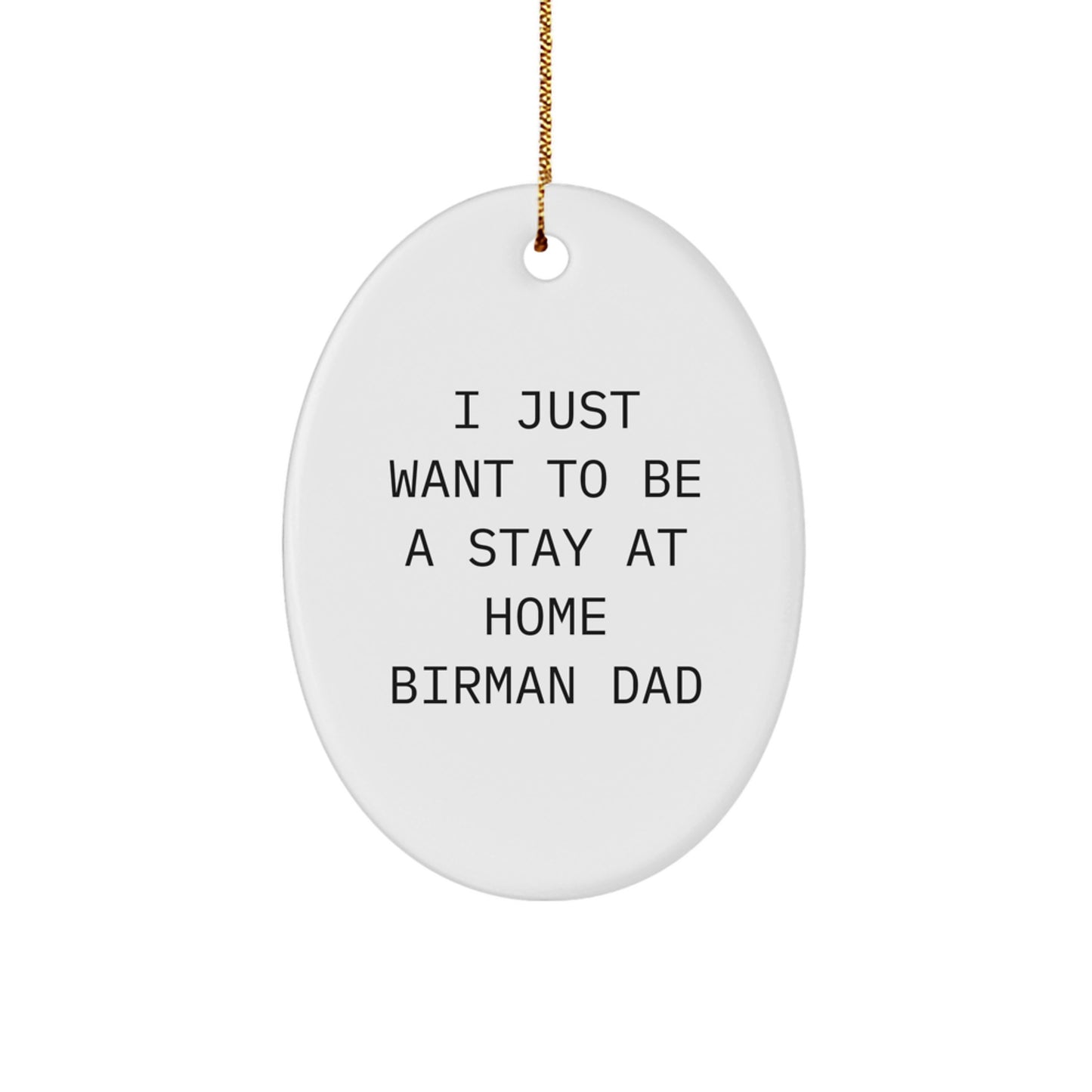 Funny Birman Cat Oval Ornament Gifts from Men to Friends and Family at Christmas - Image 1