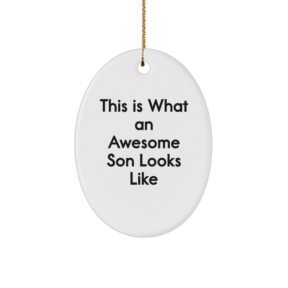 Funny Son Gifts - This Is What An Awesome Son Looks Like Oval Ornament, White, Christmas, Gifts from Family to Son - Image 1