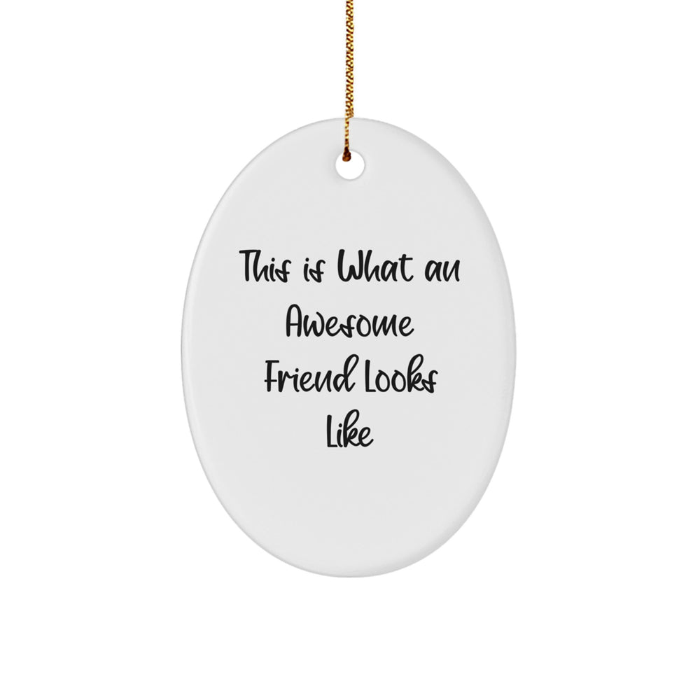 Funny Friend Gifts from Men, Women, or Coworkers - Christmas Unique Oval Ornament with 'This Is What An Awesome Friend Looks Like' Quote - Image 1