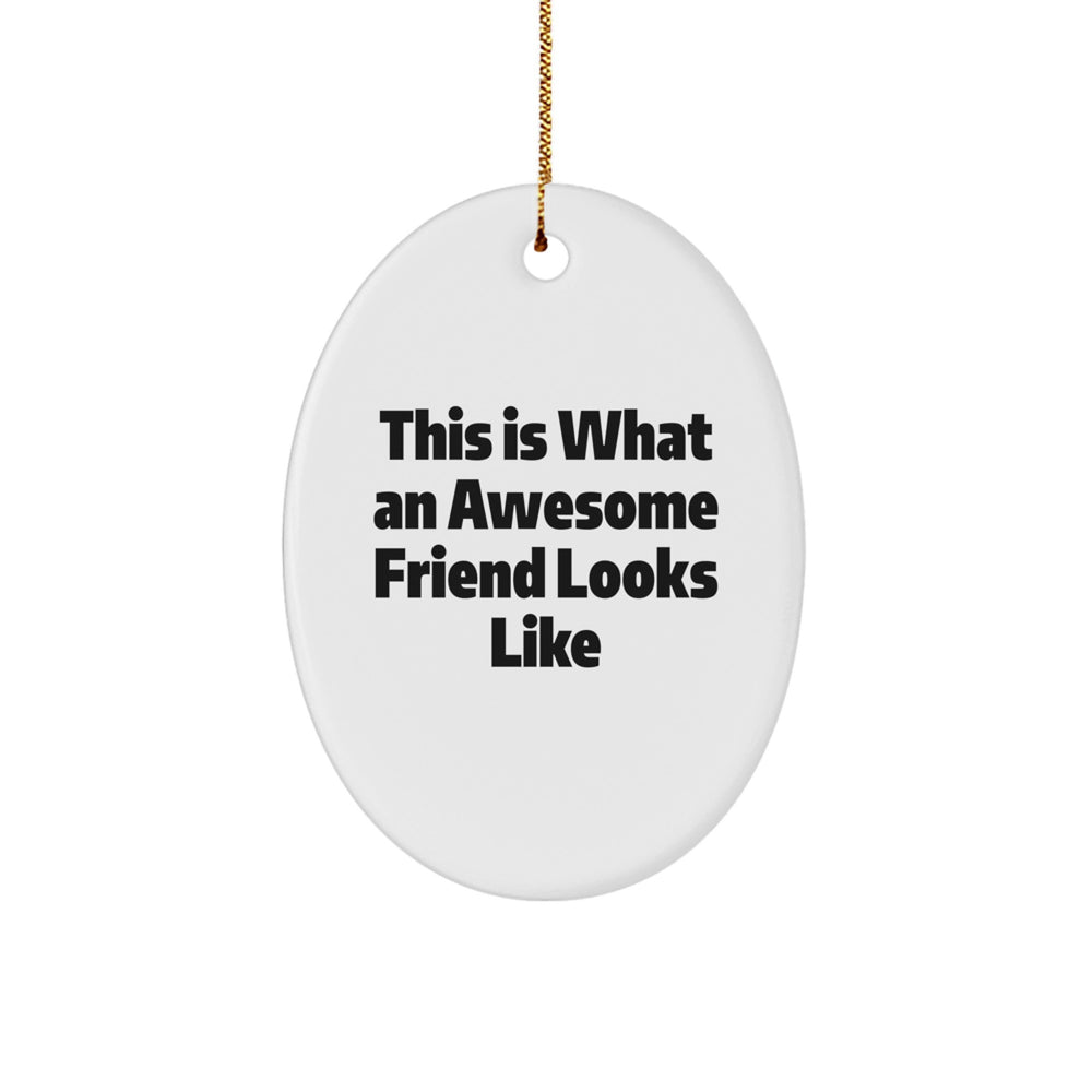 Funny Friend Gifts: This Is What An Awesome Friend Looks Like Oval Ornament, White, Christmas Unique Gifts from Men to Friends - Image 1