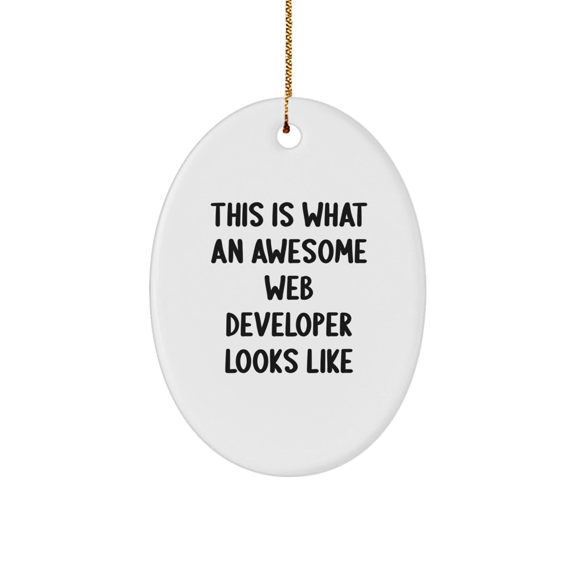 Funny Web Developer Gifts for Men, Web Developer Oval Ornament, 'This Is What An Awesome Web Developer Looks Like', Funny Office Decor, Christmas Unique Gifts from Friends to Web Developers - Image 1