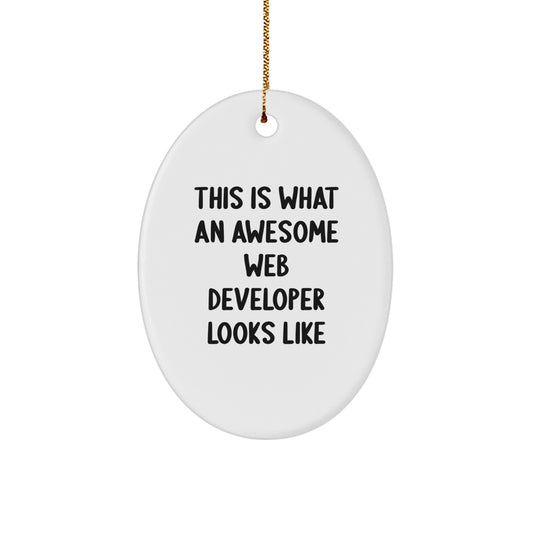 Funny Web Developer Gifts for Men, Web Developer Oval Ornament, 'This Is What An Awesome Web Developer Looks Like', Funny Office Decor, Christmas Unique Gifts from Friends to Web Developers - Image 1