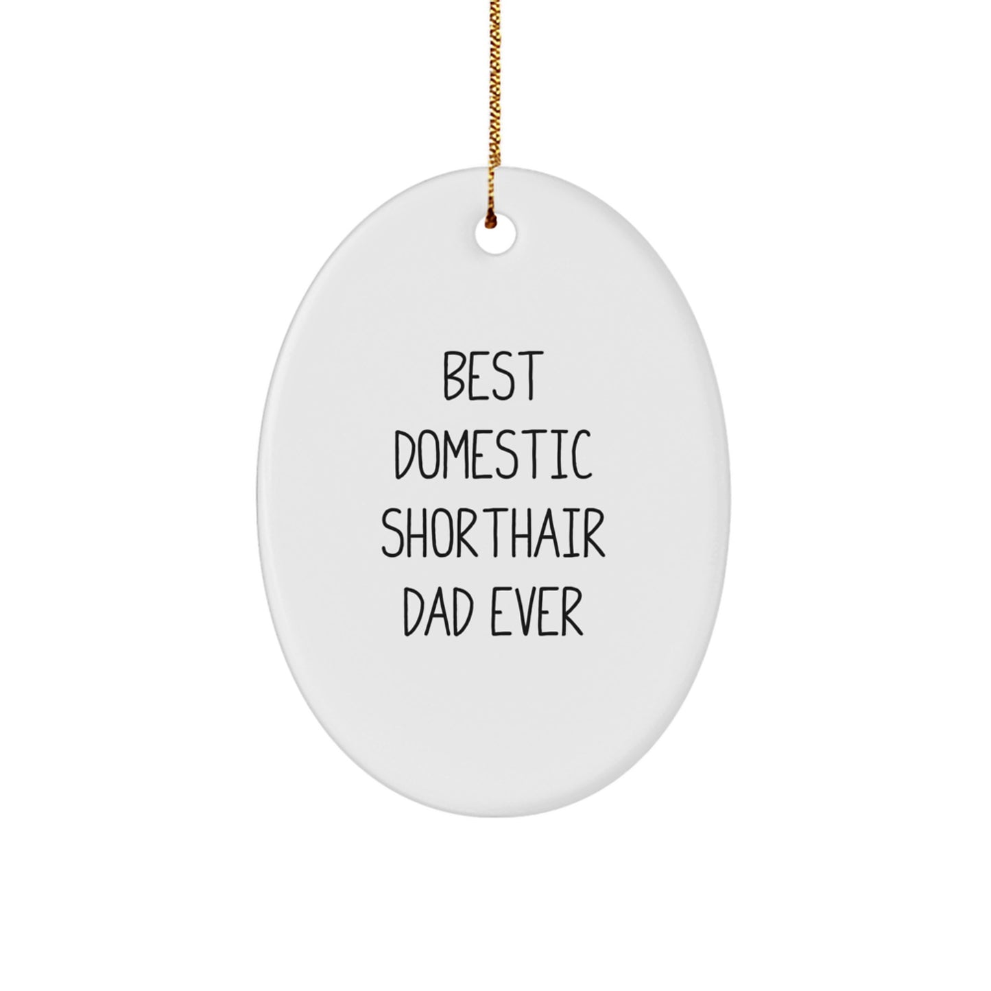 Funny Domestic Shorthair Cat Gifts - Oval Ornament for Christmas Unique Gifts from Family to Men - Image 1