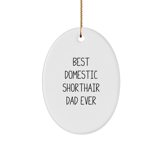 Funny Domestic Shorthair Cat Gifts - Oval Ornament for Christmas Unique Gifts from Family to Men - Image 1
