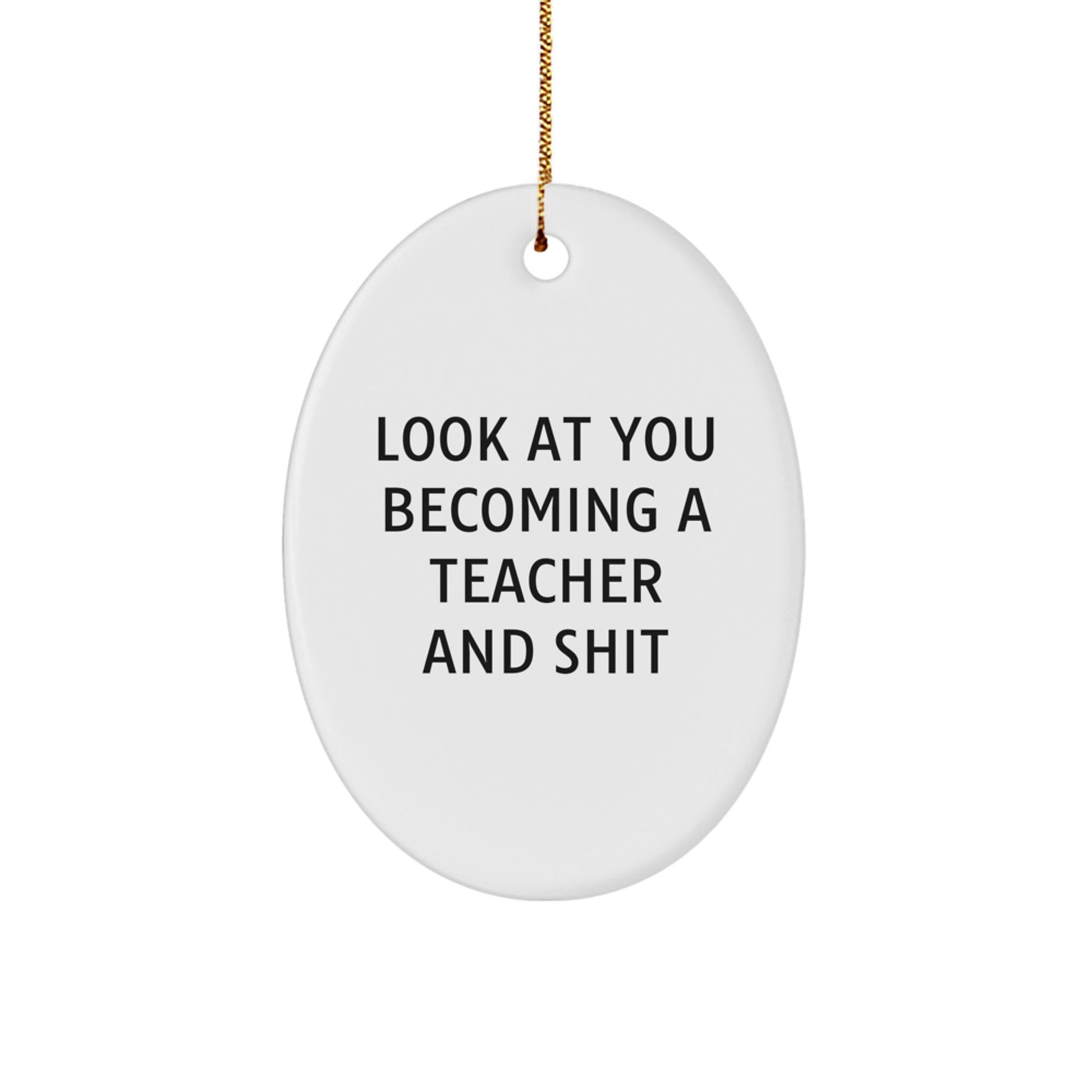 Funny Teacher Gift from Friends - Oval Ornament for Classroom Decoration at Christmas Unique Gifts - Image 1